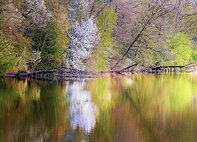 Czech Republic Bohdanec county