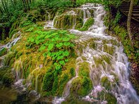 Croatia Plitvice N.P.