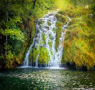 Croatia Plitvice N.P.