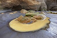 New Zealand Tasman sea shore